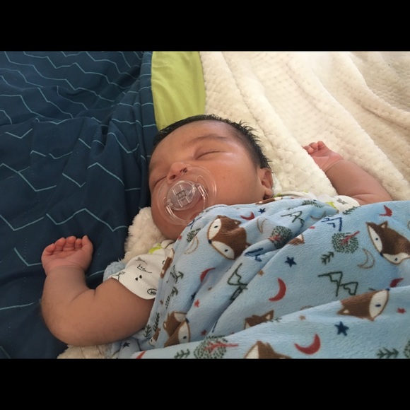 Meet your Posher, Perla - Picture 1 of 1